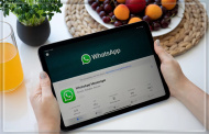 На iPad появилась нативная версия WhatsApp На iPad появилась нативная версия WhatsApp