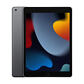 iPad iPad