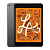 iPad mini, Wi-Fi + Cellular, 256 ГБ, «серый космос» (2019, 5th gen)