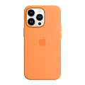 iPhone 13 Pro iPhone 13 Pro